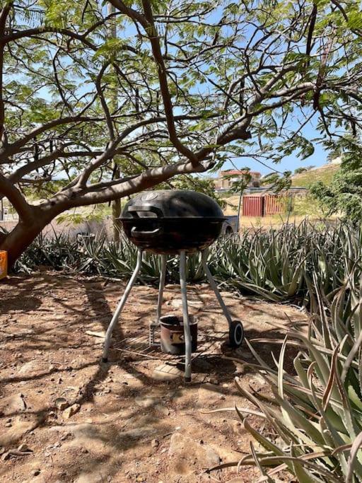 Casa Aloe Vera - Private House W/ Free Breakfast Cidade Velha Exteriér fotografie